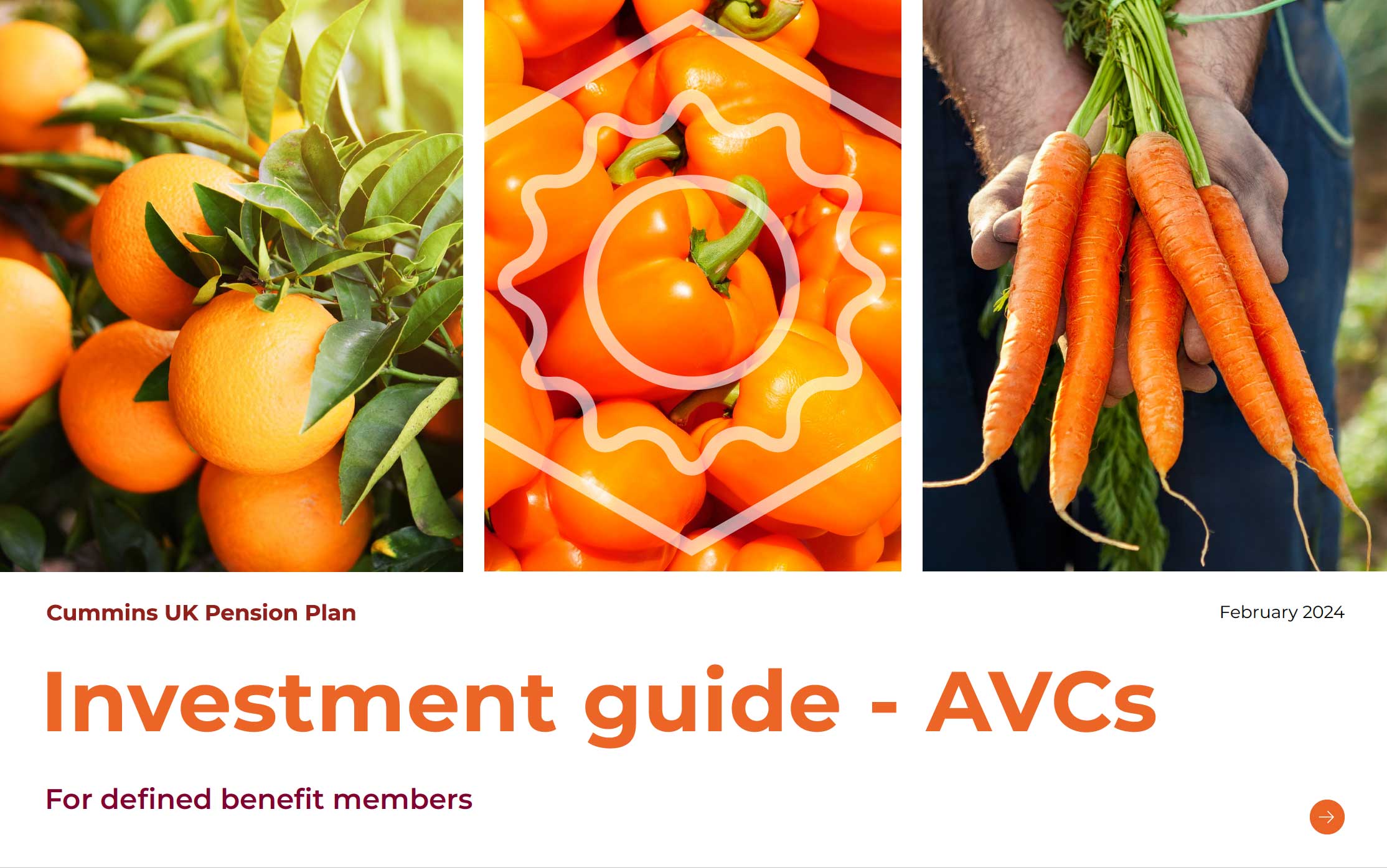 AVCs investment guide document link