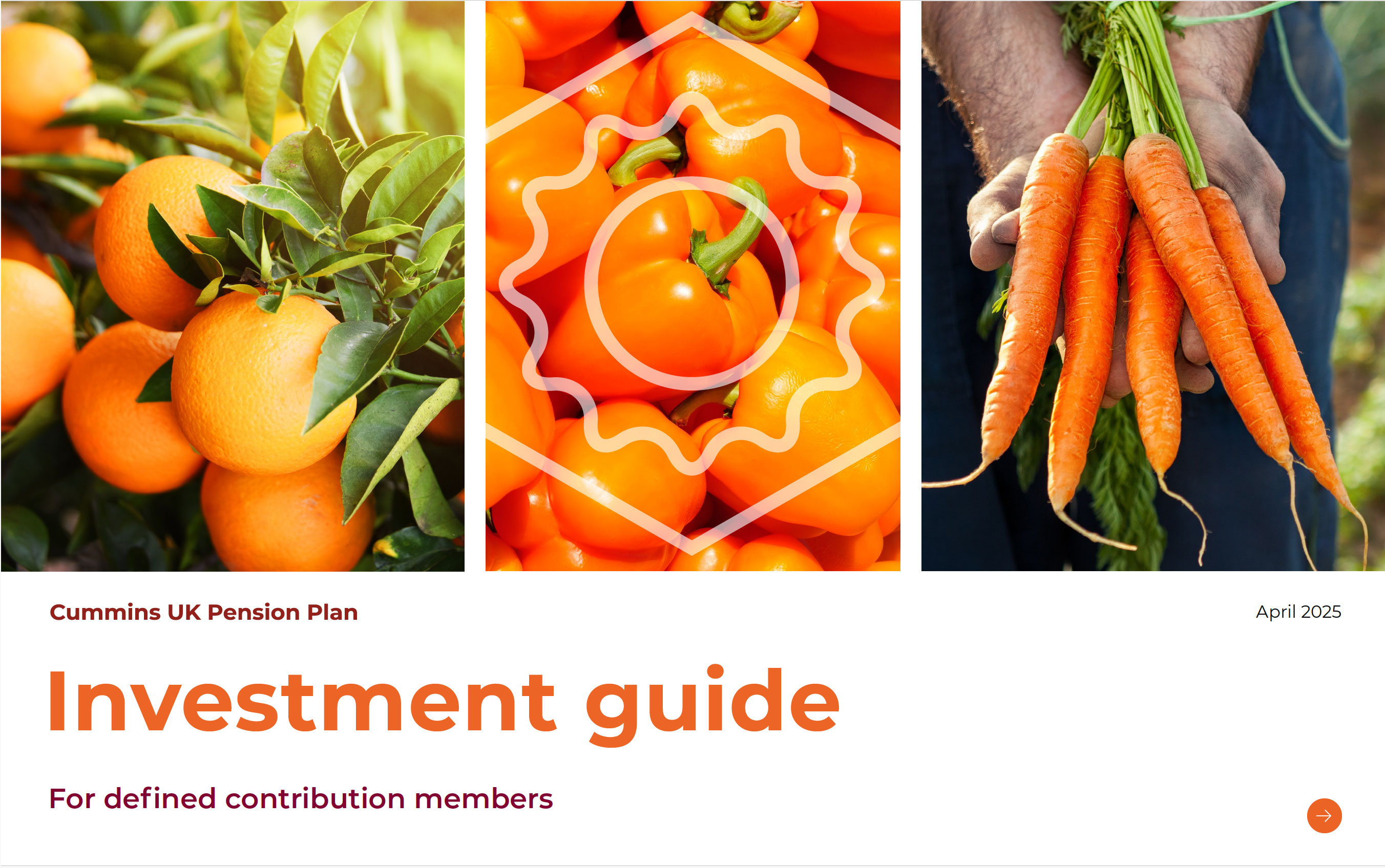 Investment guide document link