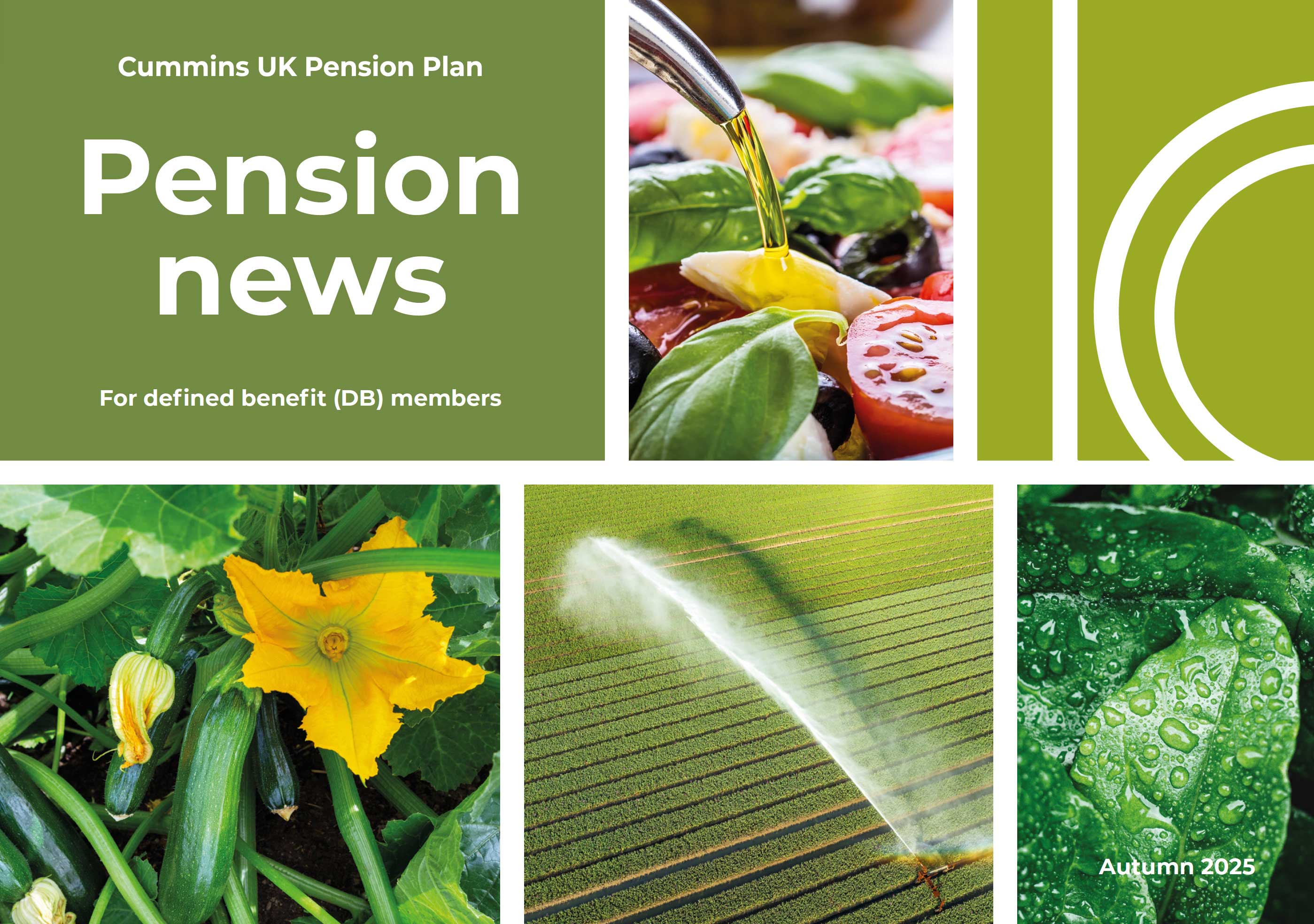 DB members - Pension News Autumn 2025 document link